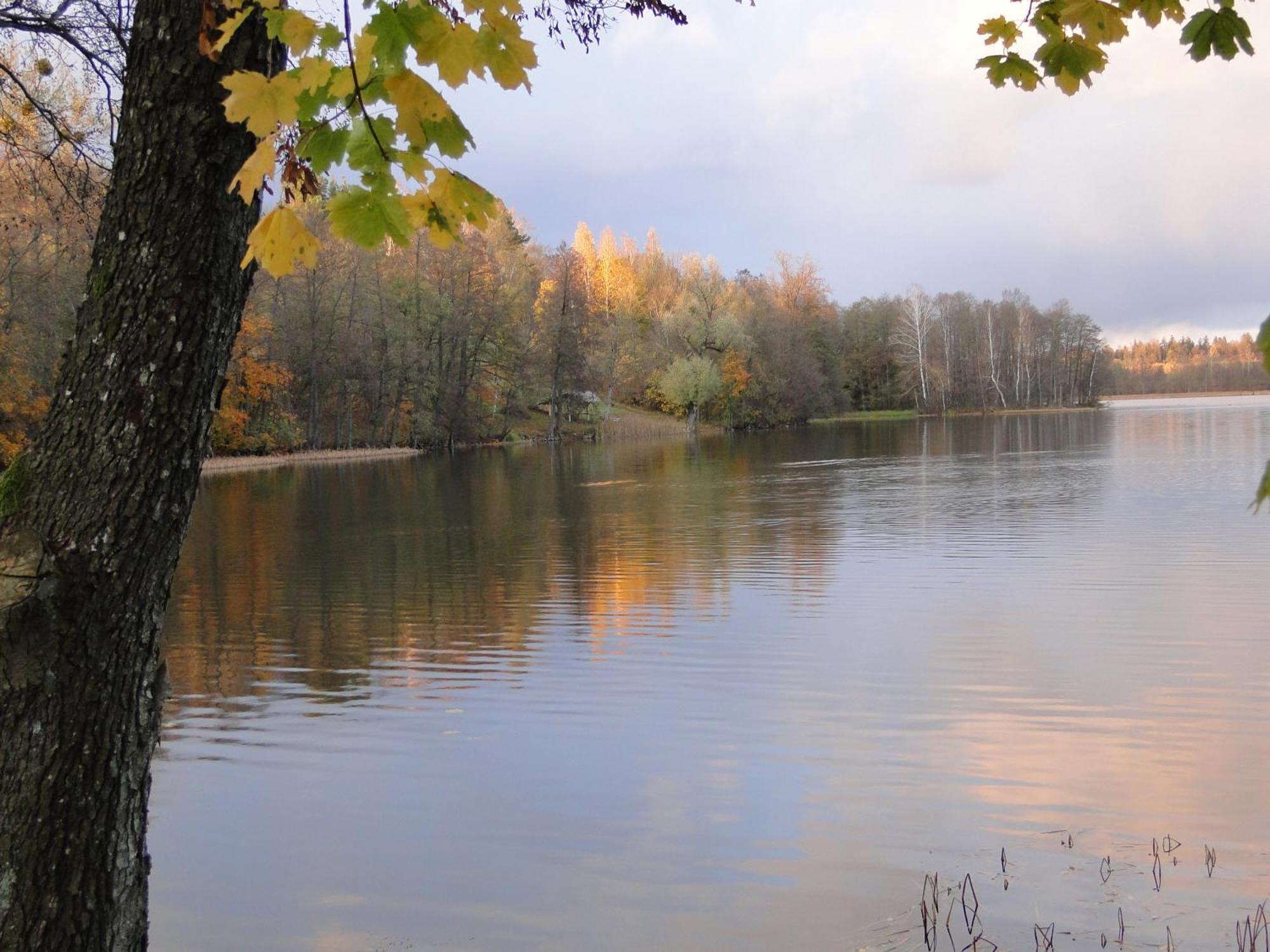 Agroturystyka Zywe Kruklanki Exterior foto