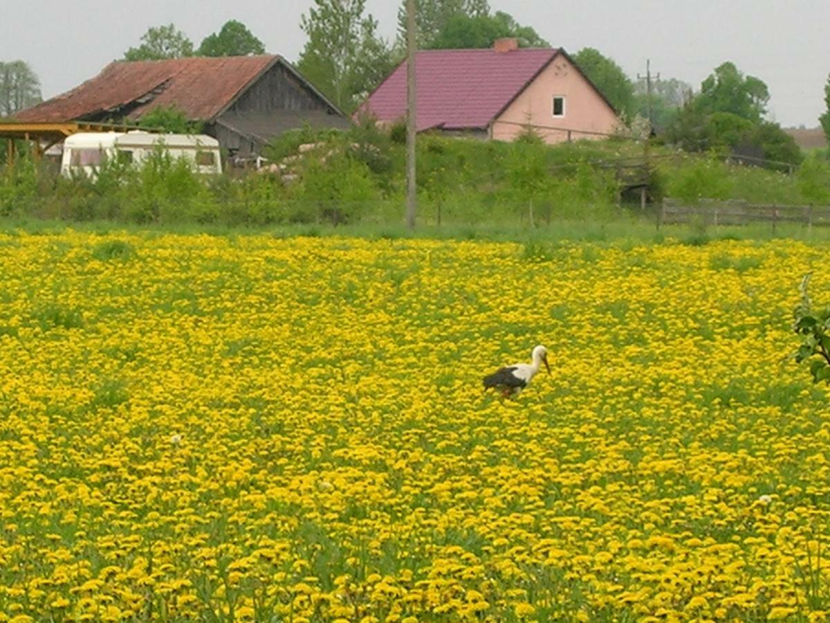Agroturystyka Zywe Kruklanki Exterior foto